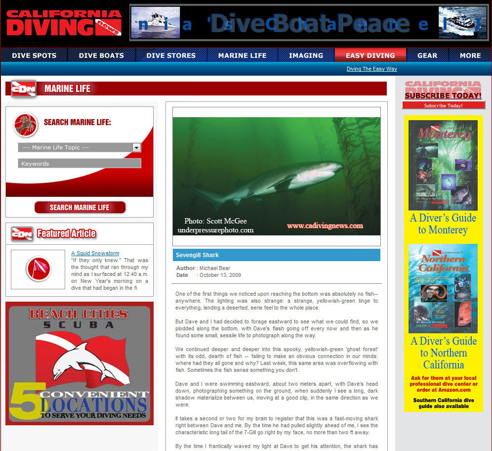 Sevengill shark photo in a 2009 California Diving News article by Michael Bear.
