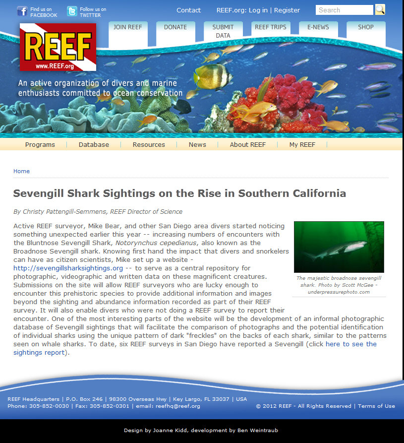 Sevengill shark photo in a Reef.or article on increased sightings.