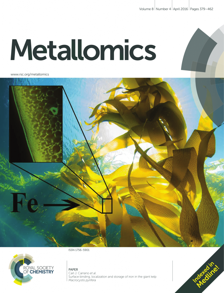 Kelp Sunburst inside cover of the April 2016 edition of the journal Metallomics