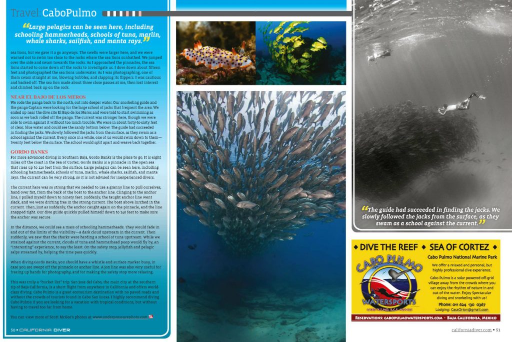 Full article and photos, Cabo Pulmo - California Diver Magazine, May-June 2012 issue