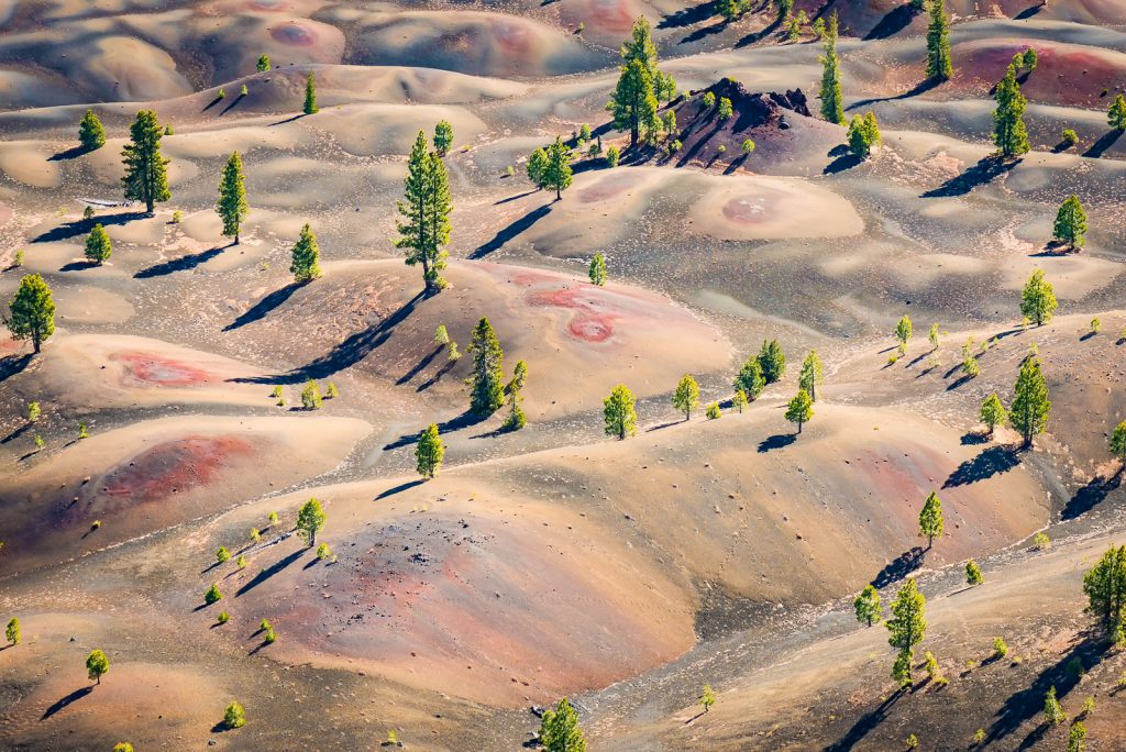 Painted Dunes