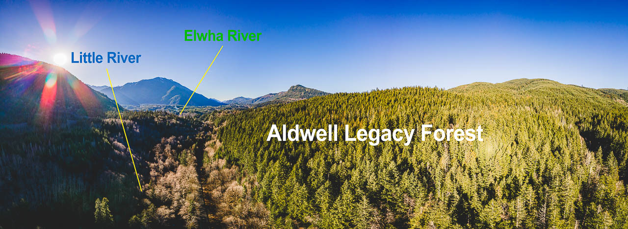 Aldwell Legacy Forest with the Little River and Elwha River