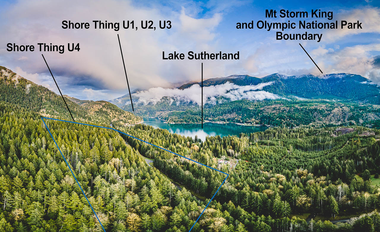 Aerial view of the Shore Thing timber sale and Lake Sutherland