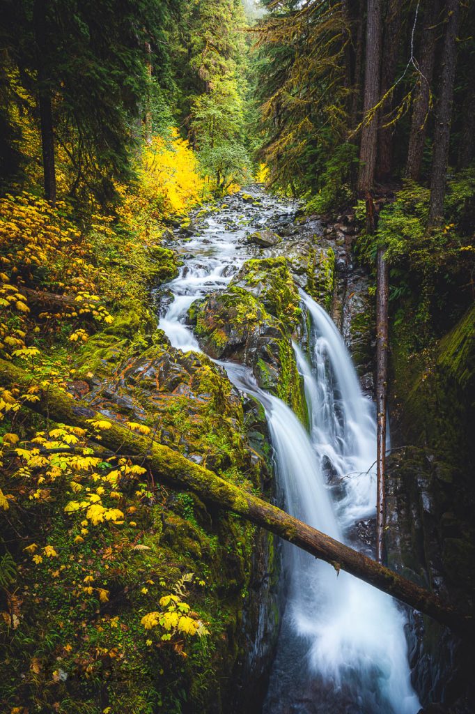 A waterfall in a temperate rainforest surrounded by fall colors
