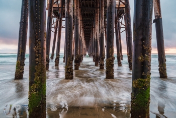 Under the Pier 2