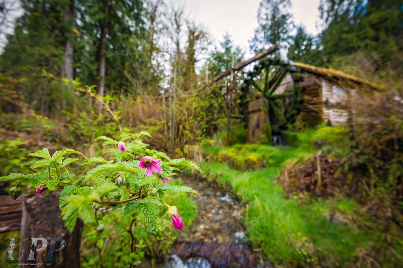 Dalby Water Wheel in Union, WA