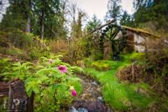 Dalby Water Wheel in Union, WA