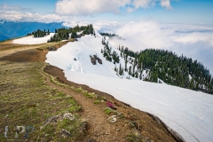 Hurricane Hill, Olympic National Park, WA