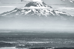 Mt Rainier Rises Above