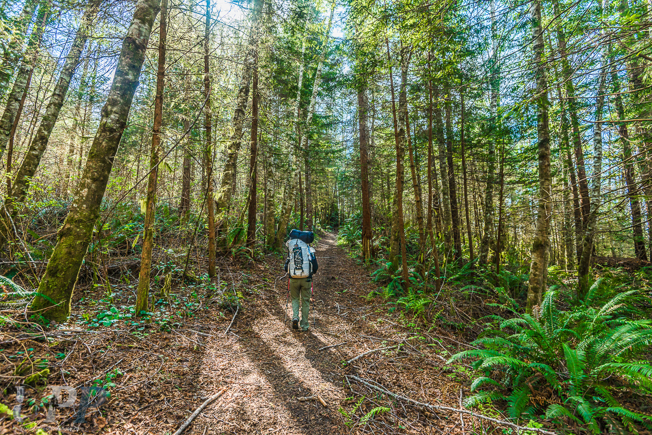 The Beginning of the Trail