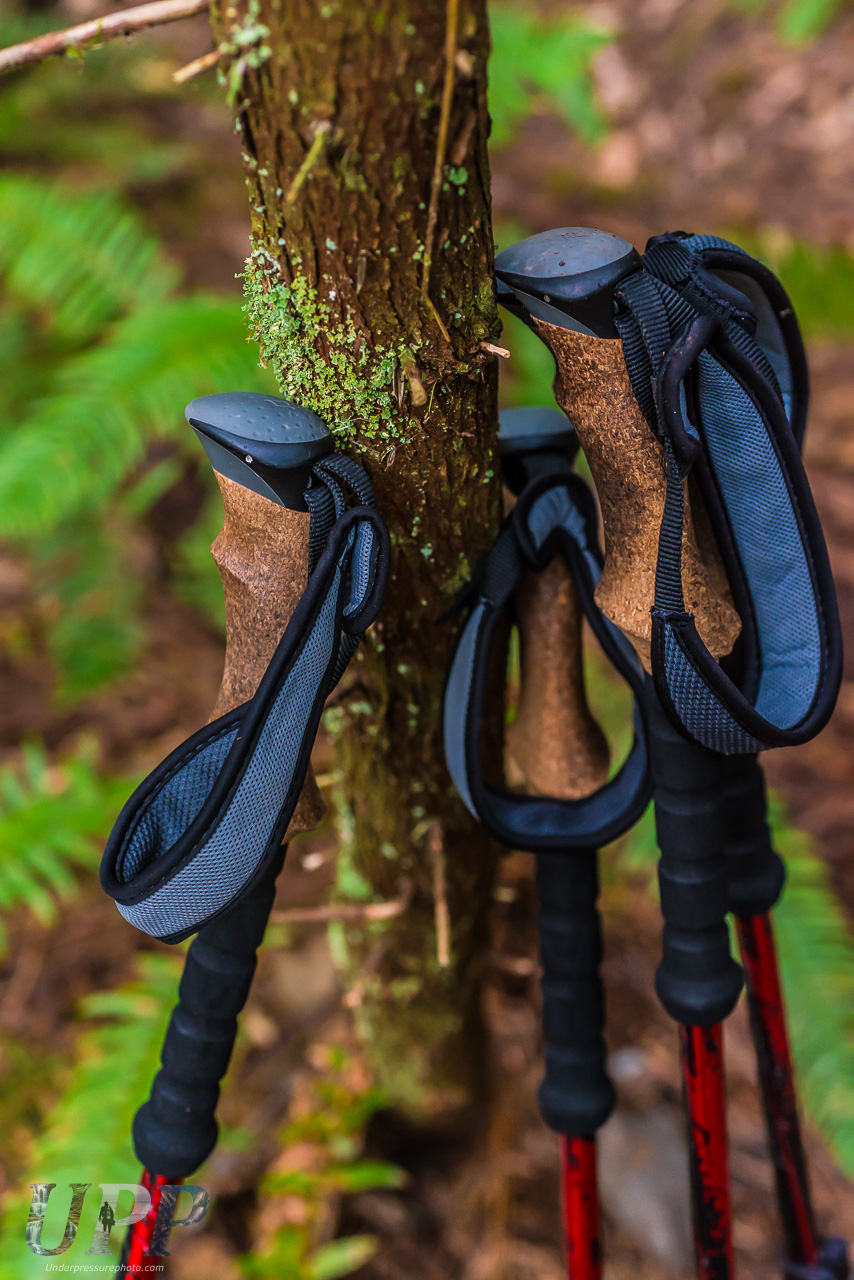 Trekking Poles at Rest