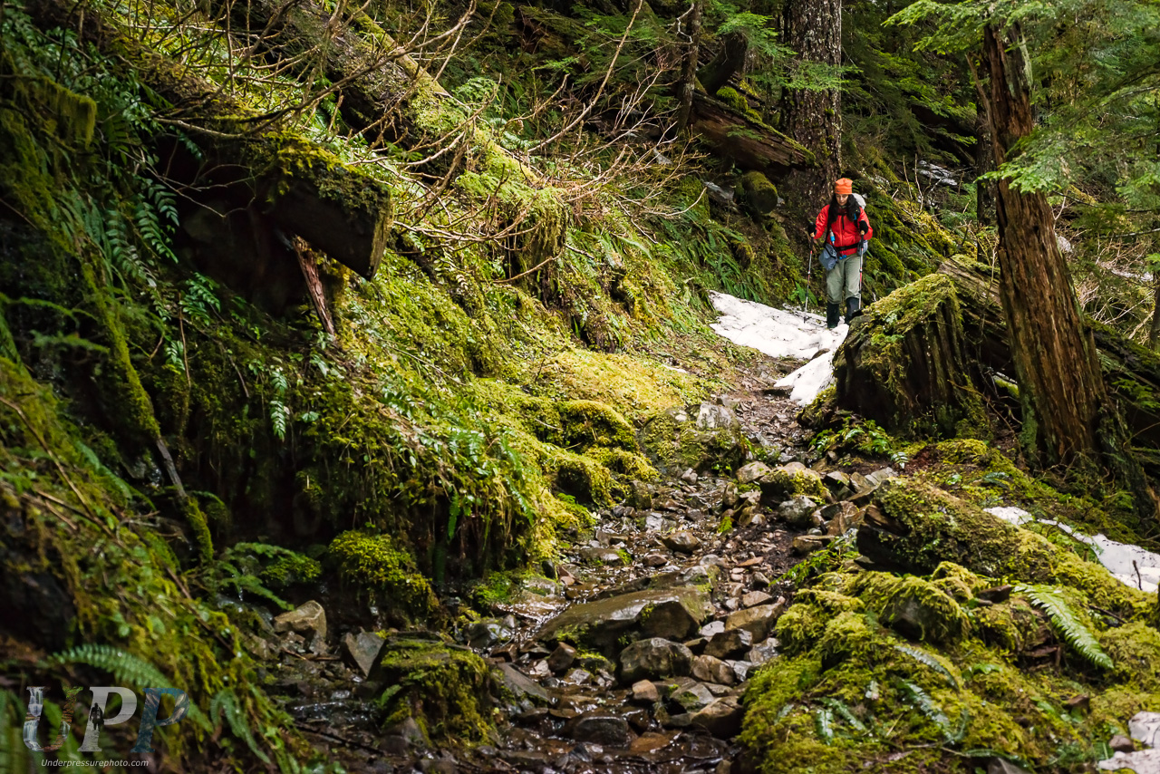 Spring Hiking