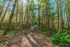 The Beginning of the Trail