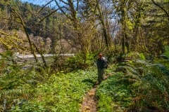 Day Hike Wonder