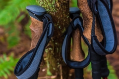 Trekking Poles at Rest