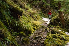 Spring Hiking