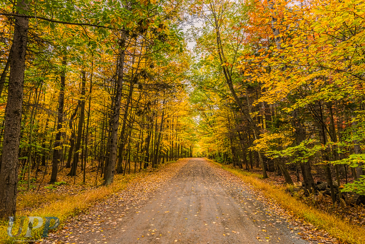Country Road in the Fall