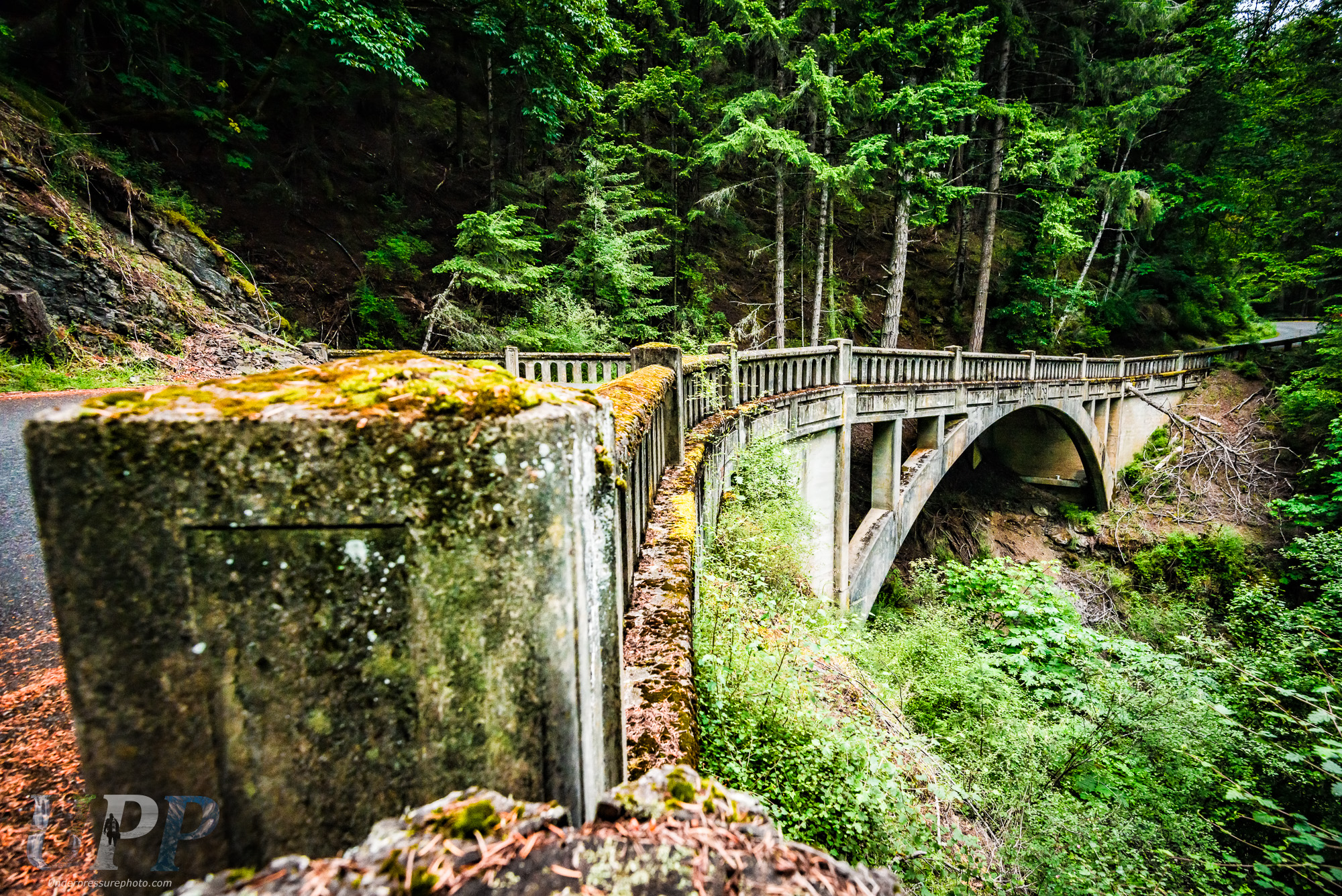 Rustic Bridge Path
