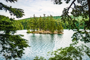 Lost Island
