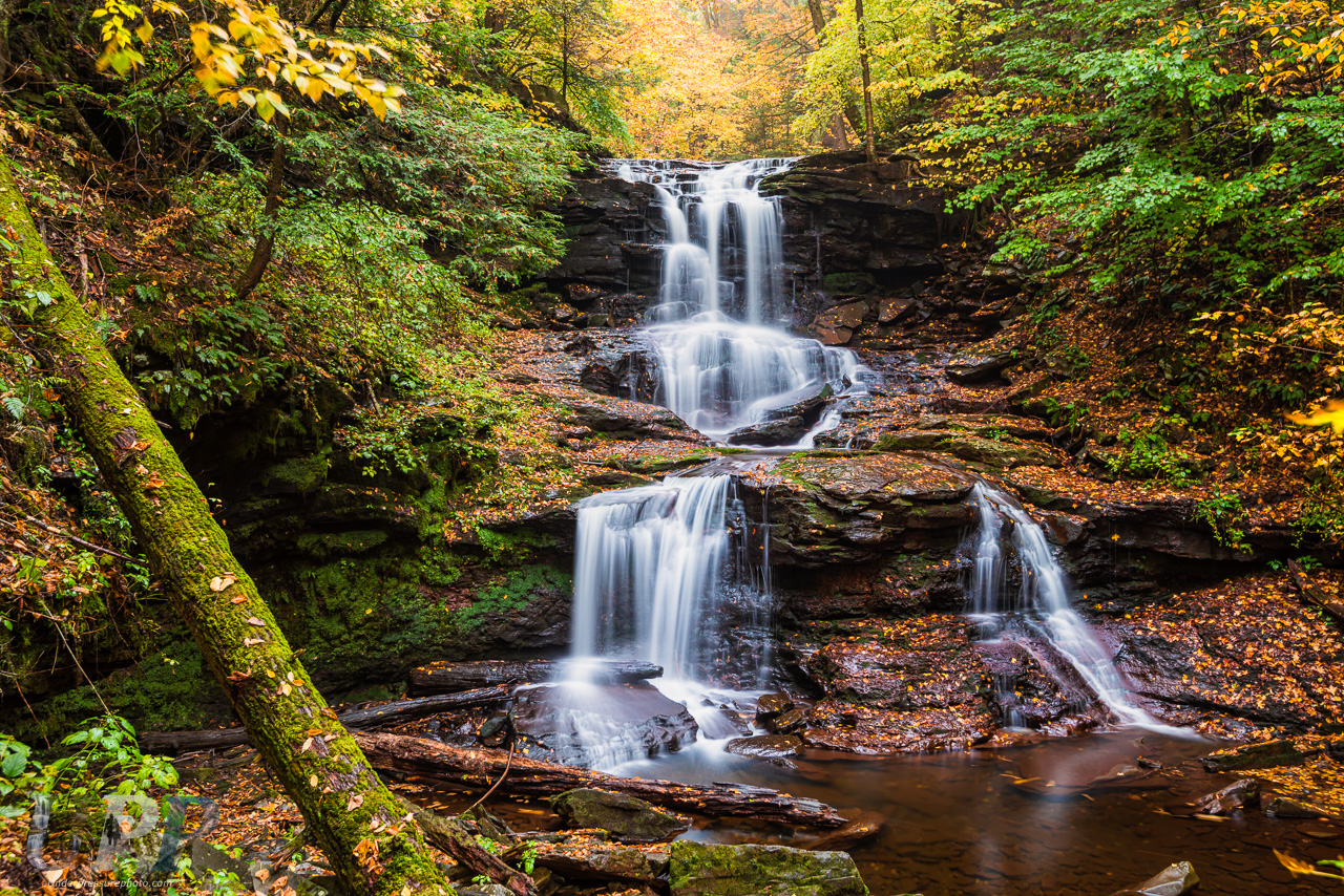 Tuscarora Falls