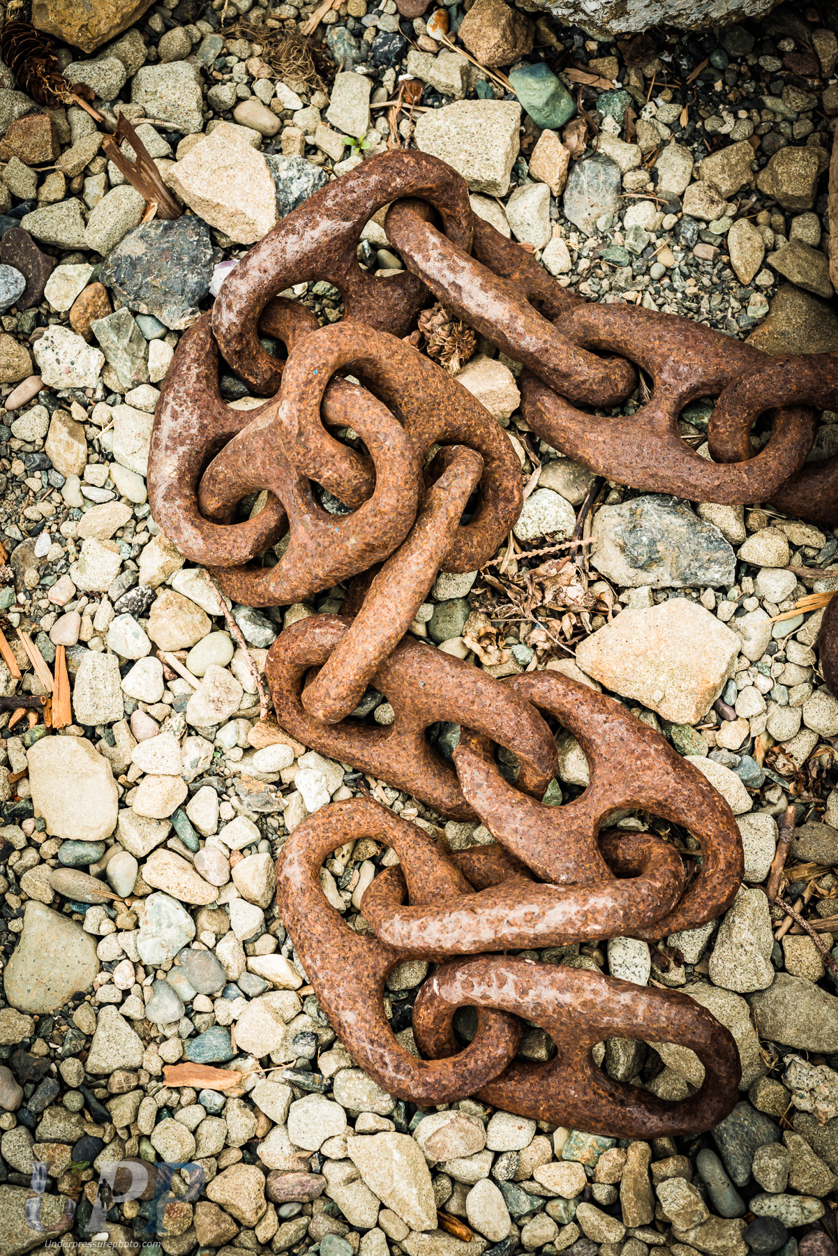 Rusting chains in Fossil Bay