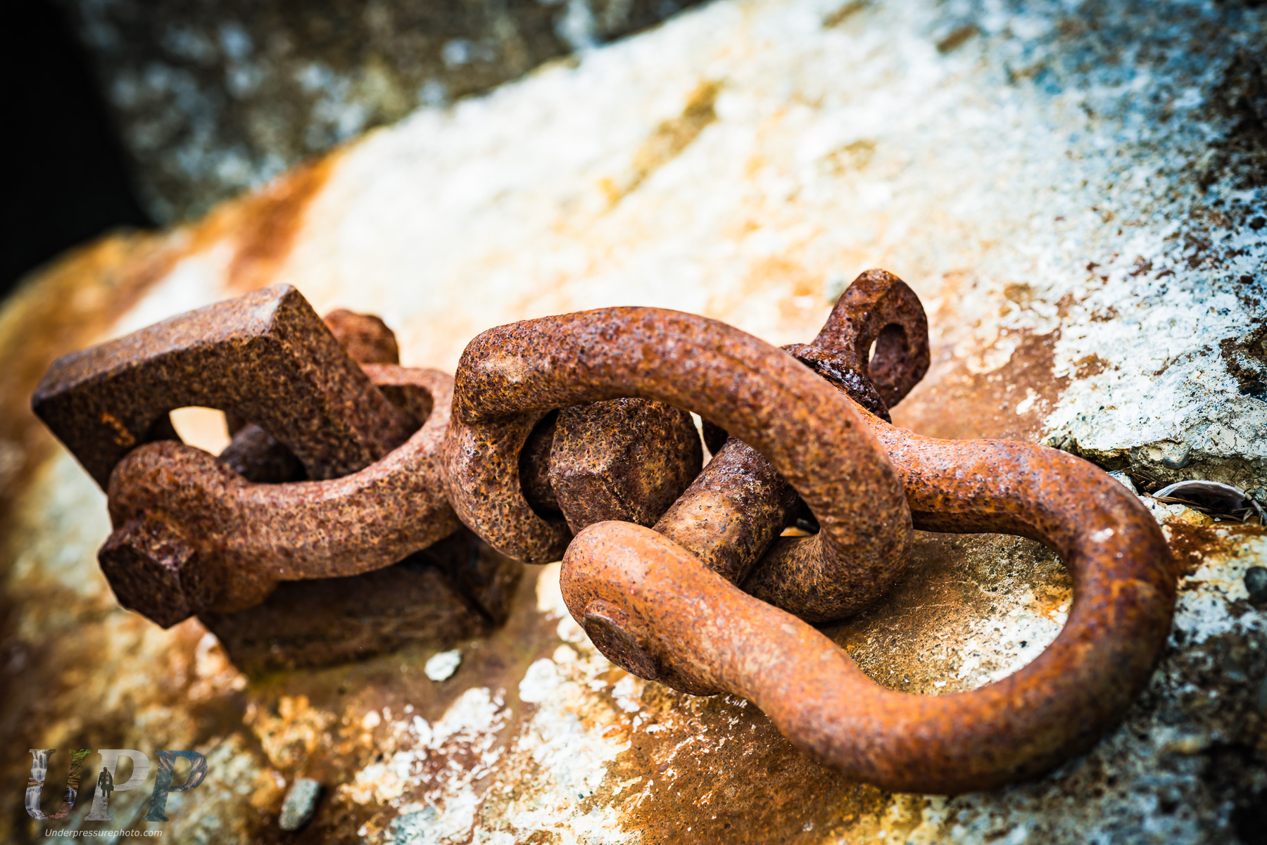 Rusting anchorage bolt in Fossil Bay, Sucia Island