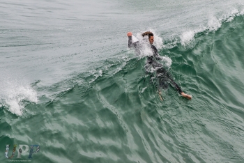 Fluid Motions