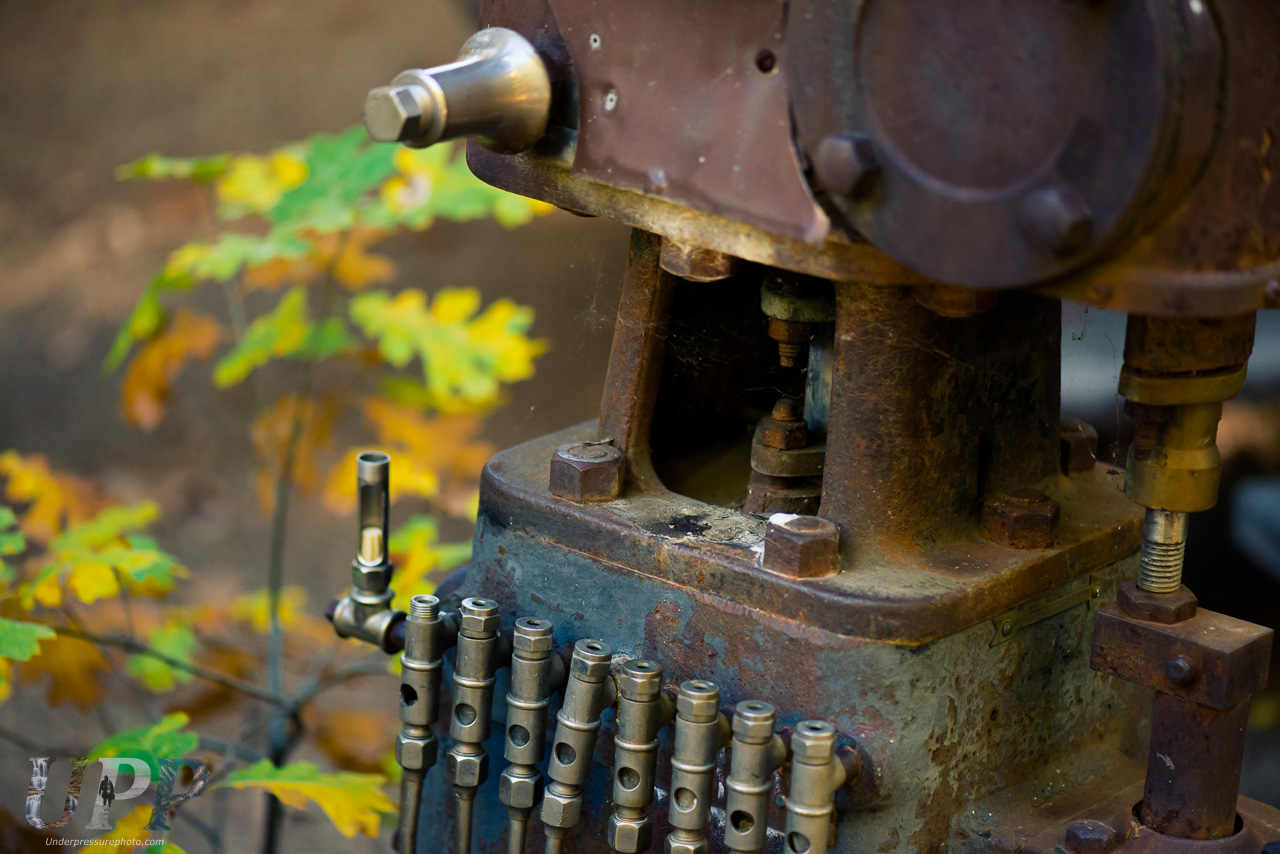 Machinery in the Forest