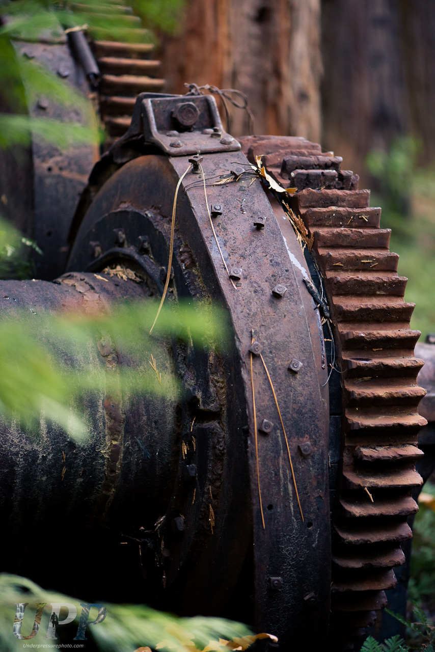 Machinery in the Forest