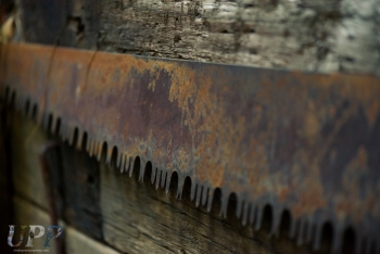 Scars of the Past