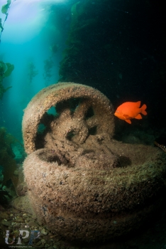 Discarded Ballast