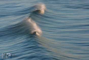 The Race Of Waves
