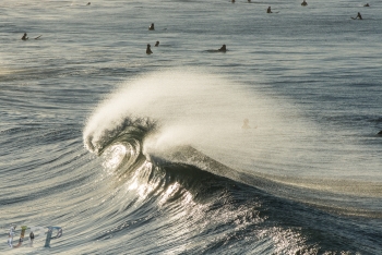 Santa Ana Surfers