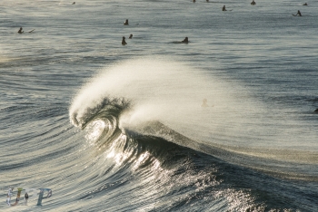 Santa Ana Surfers