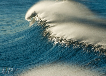 Santa Ana Surf