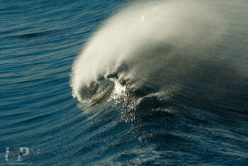 Santa Ana Surf