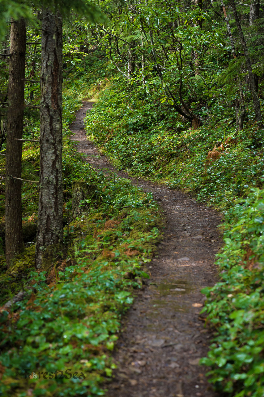 Deer Ridge, WA
