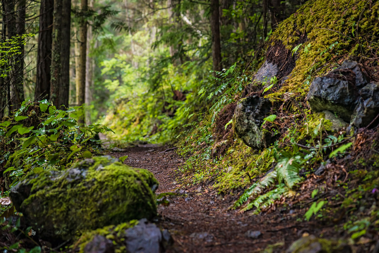 Deer Ridge, WA