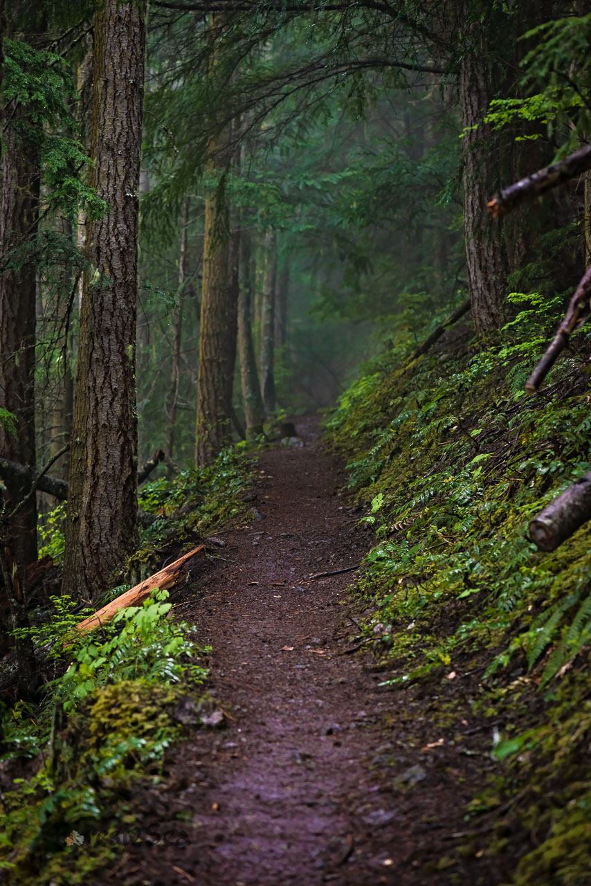 Deer Ridge, WA