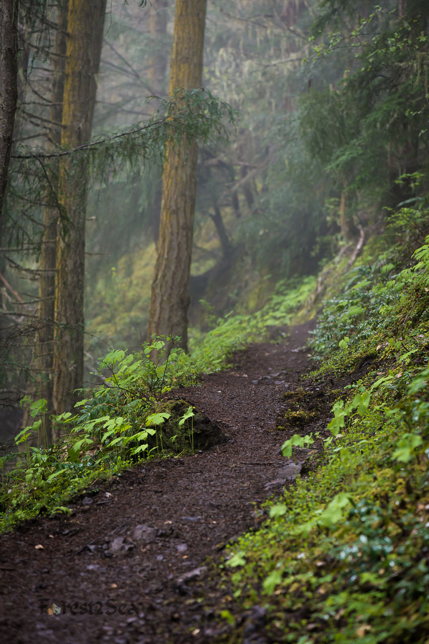 Deer Ridge, WA