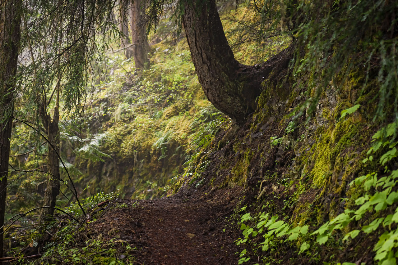 Deer Ridge, WA