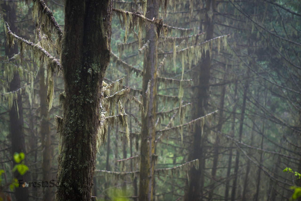 Deer Ridge, WA