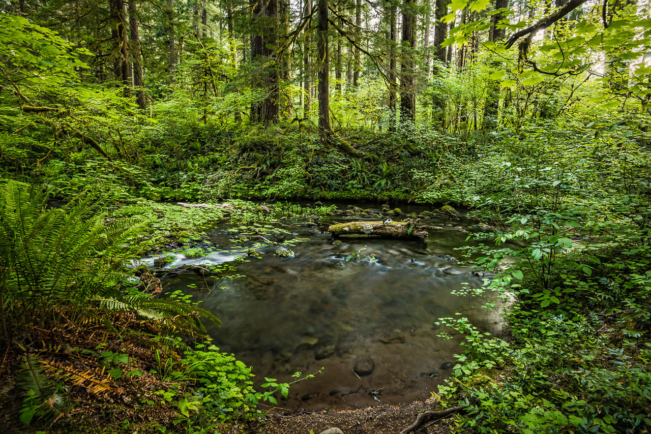 Mckenzie River Valley, OR