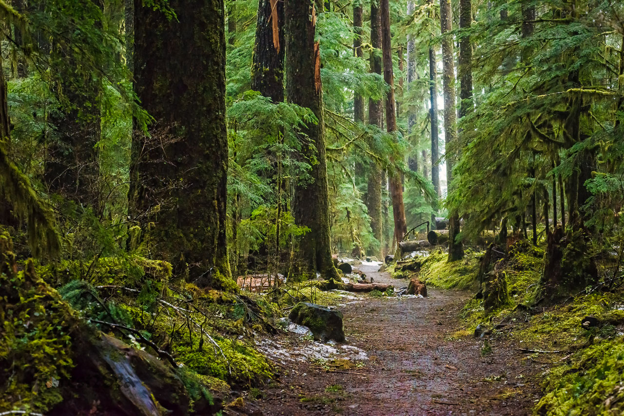 Sol Duc, Olympic National Park