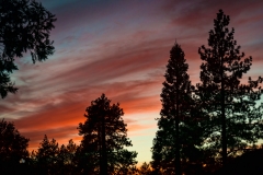 Idyllwild, CA