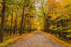 Country Road in the Fall