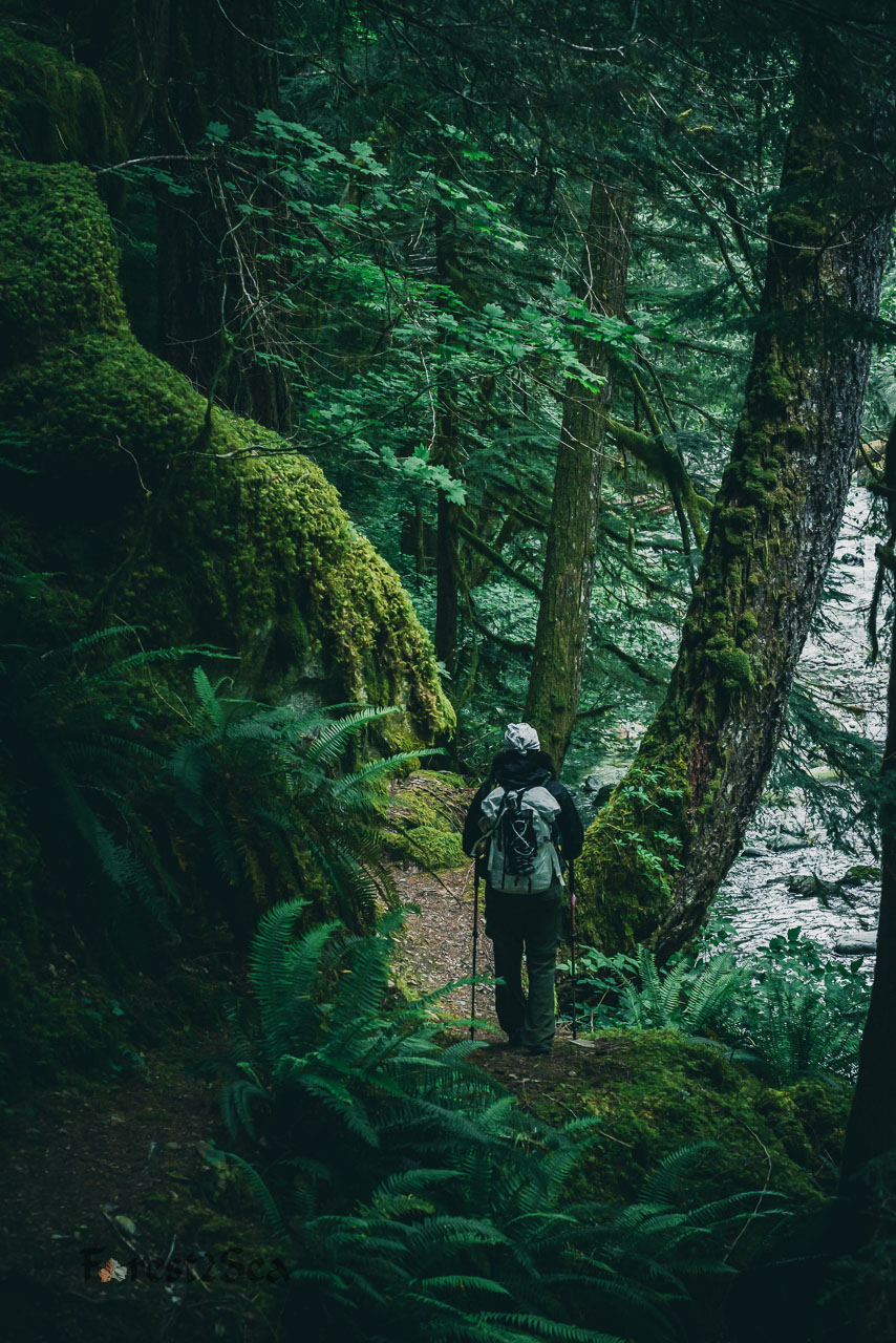 CrtrGrl hiking in the beautiful North Cascades National Park, WA