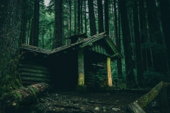 A shelter in the temperate rainforest