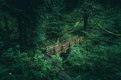 Bridge to somewhere. Where does it lead?