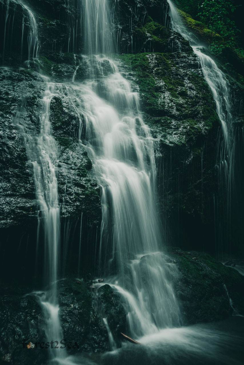 Nourishing Veils III